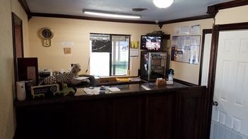 Budget Inn Эдинбург Экстерьер фото